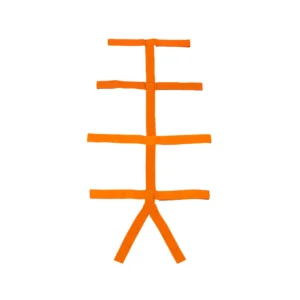 Cinturón de Seguridad Tipo Araña para Tabla Espinal