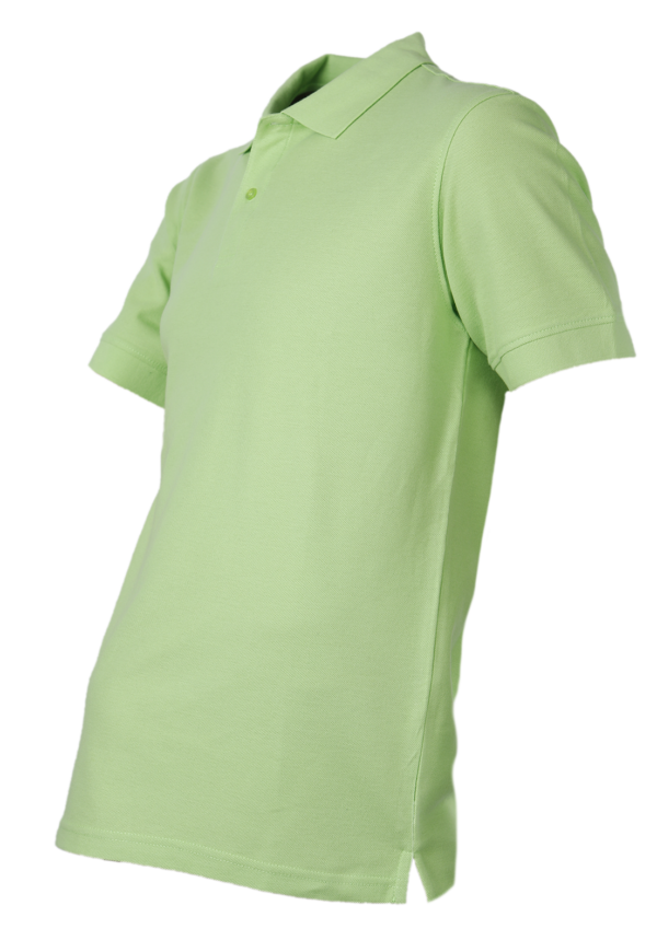 Polera Pique Hombre 80/20 M/C Verde Pistacho