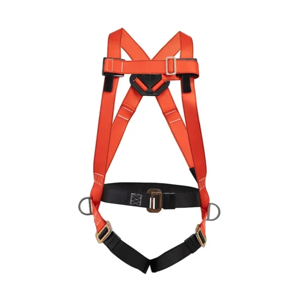 Arnés 3 Argollas Estándar Cinturón