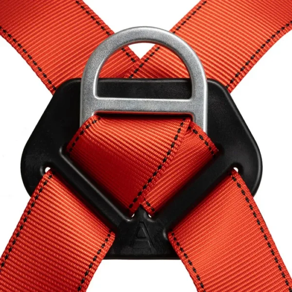 Arnés 3 Argollas Estándar Cinturón