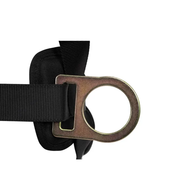 Arnés 4 Argollas Cobra 3.0 MIC