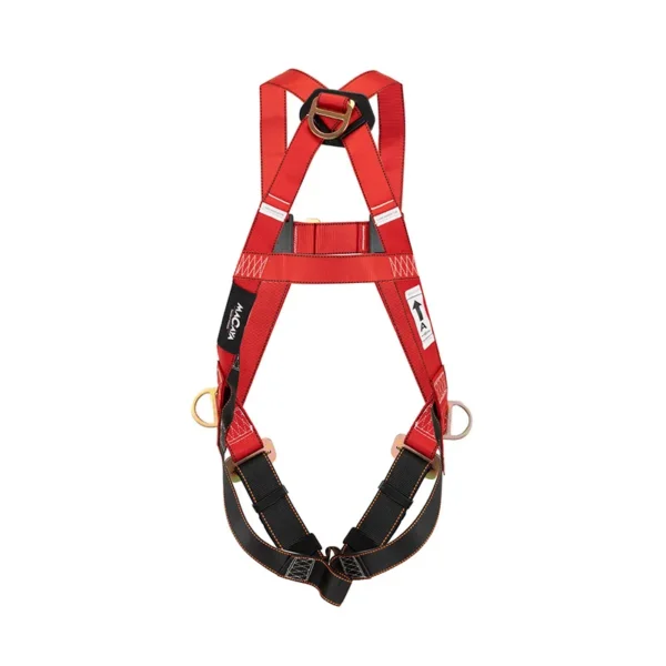 Arnés 3 Argollas Estándar