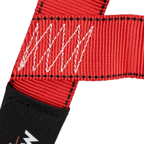 Arnés 3 Argollas Estándar