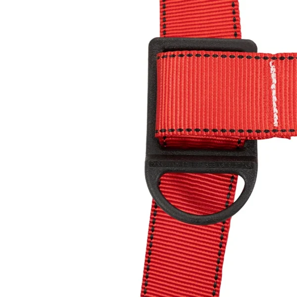 Arnés 3 Argollas Estándar