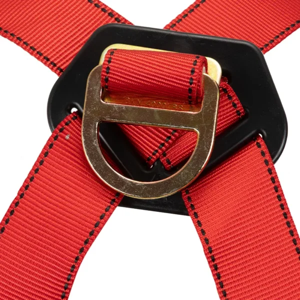 Arnés 3 Argollas Estándar